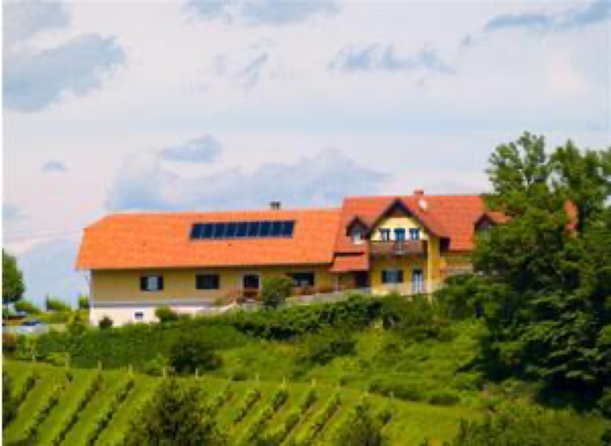 Ratsch an der Weinstraße