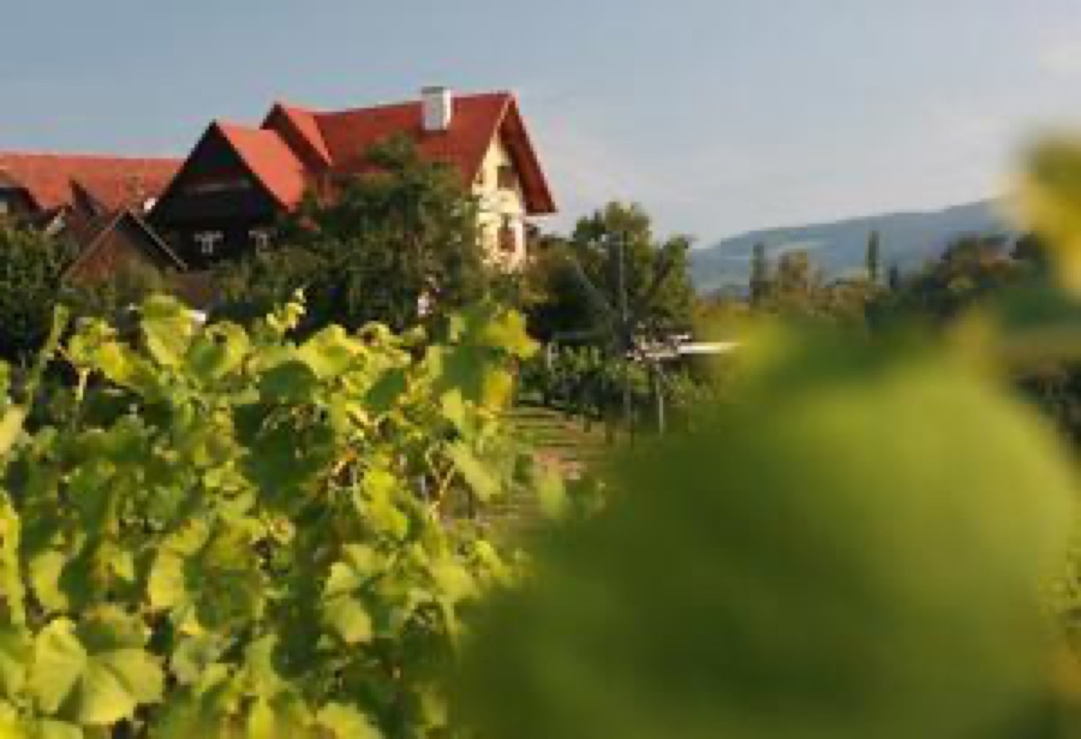 Leutschach an der Weinstrasse