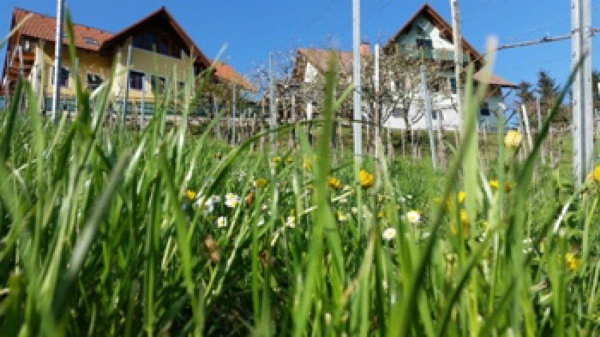 Leutschach an der Weinstraße
