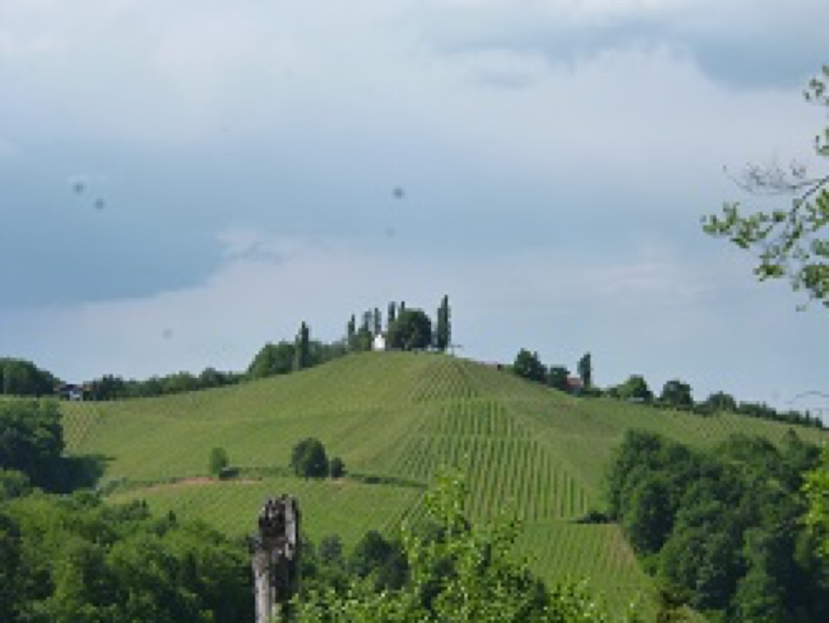 P1070045.JPG