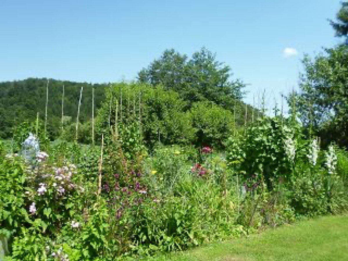 k_P1010704.JPG