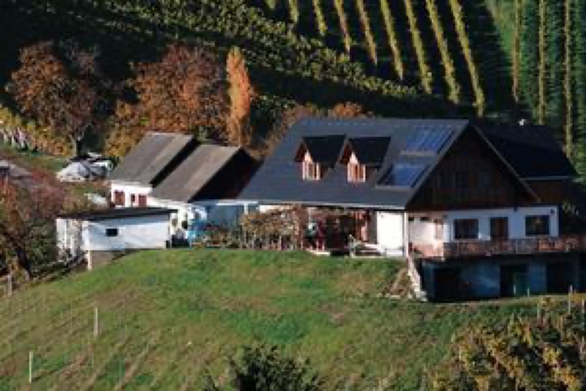 Sulztal an der Weinstraße
