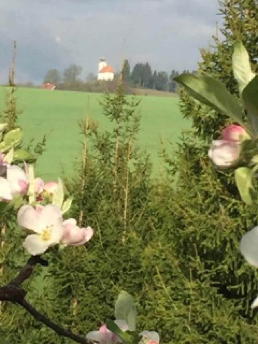 Gleinstätten
