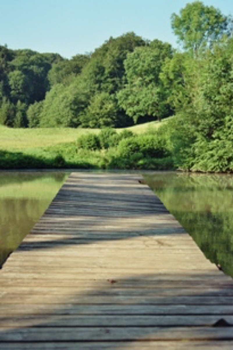 imm009_15b.jpg