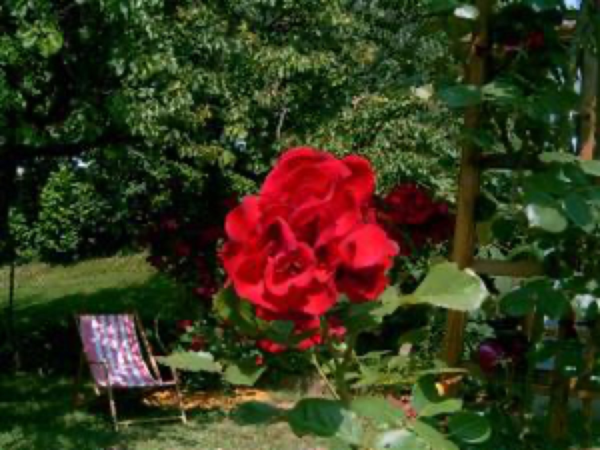 306_004.jpg