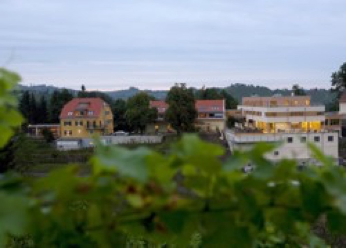 Glanz an der Weinstraße