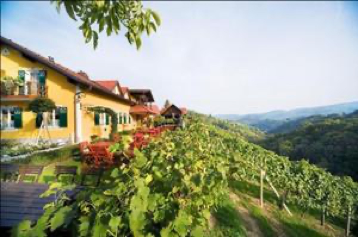 Glanz an der Weinstraße