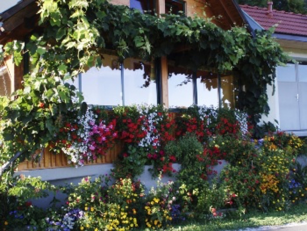 Glanz an der Weinstraße