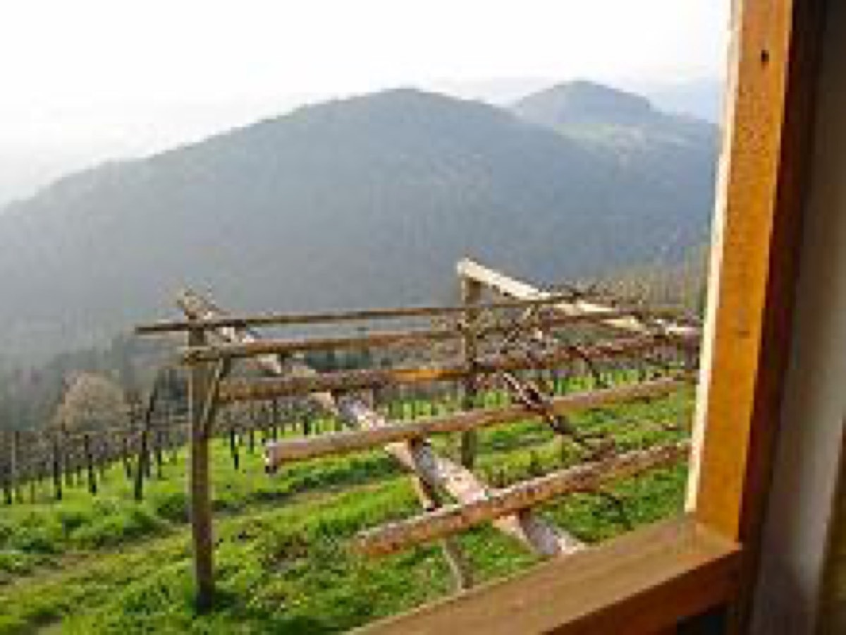 Kitzeck im Sausal