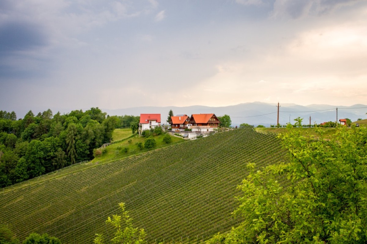 Leutschach