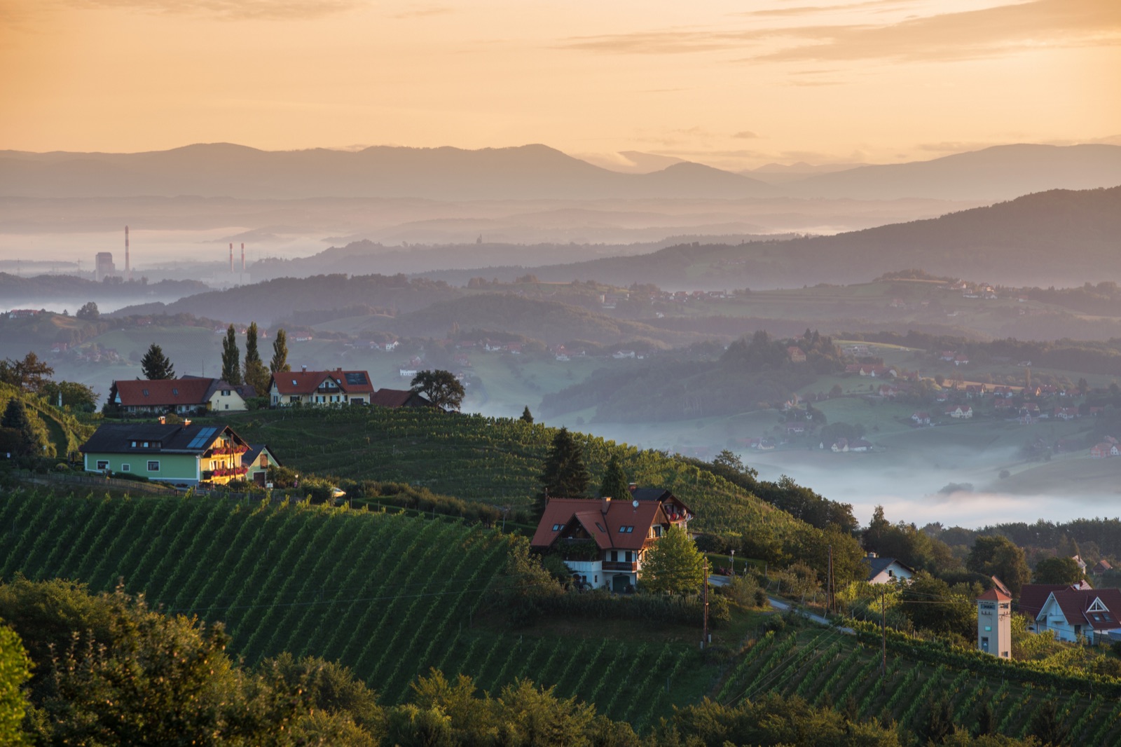 Weinberge im Sonnenaufgang, Südsteiermark