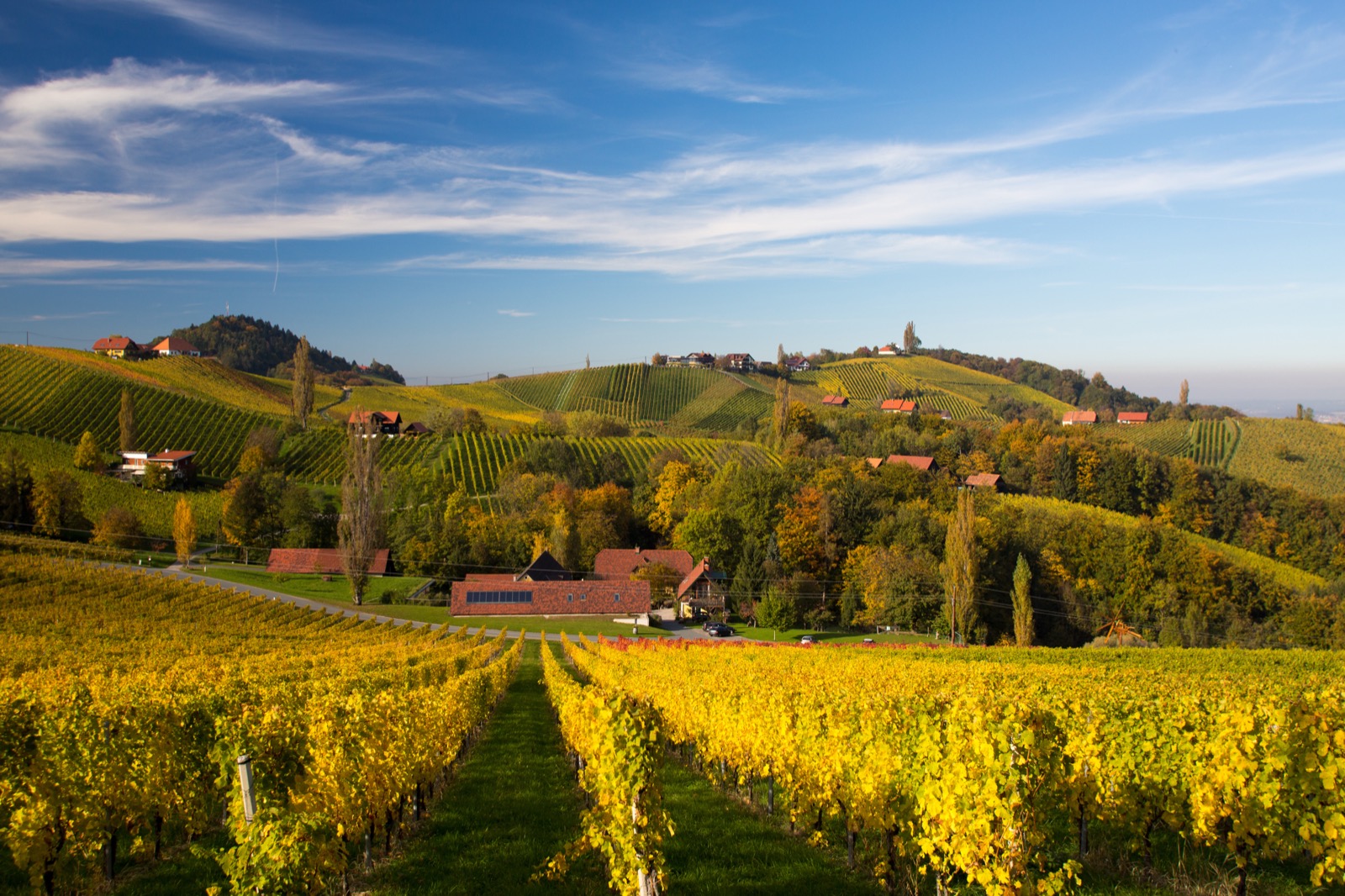 Impression aus der Region Kirchberg an der Raab