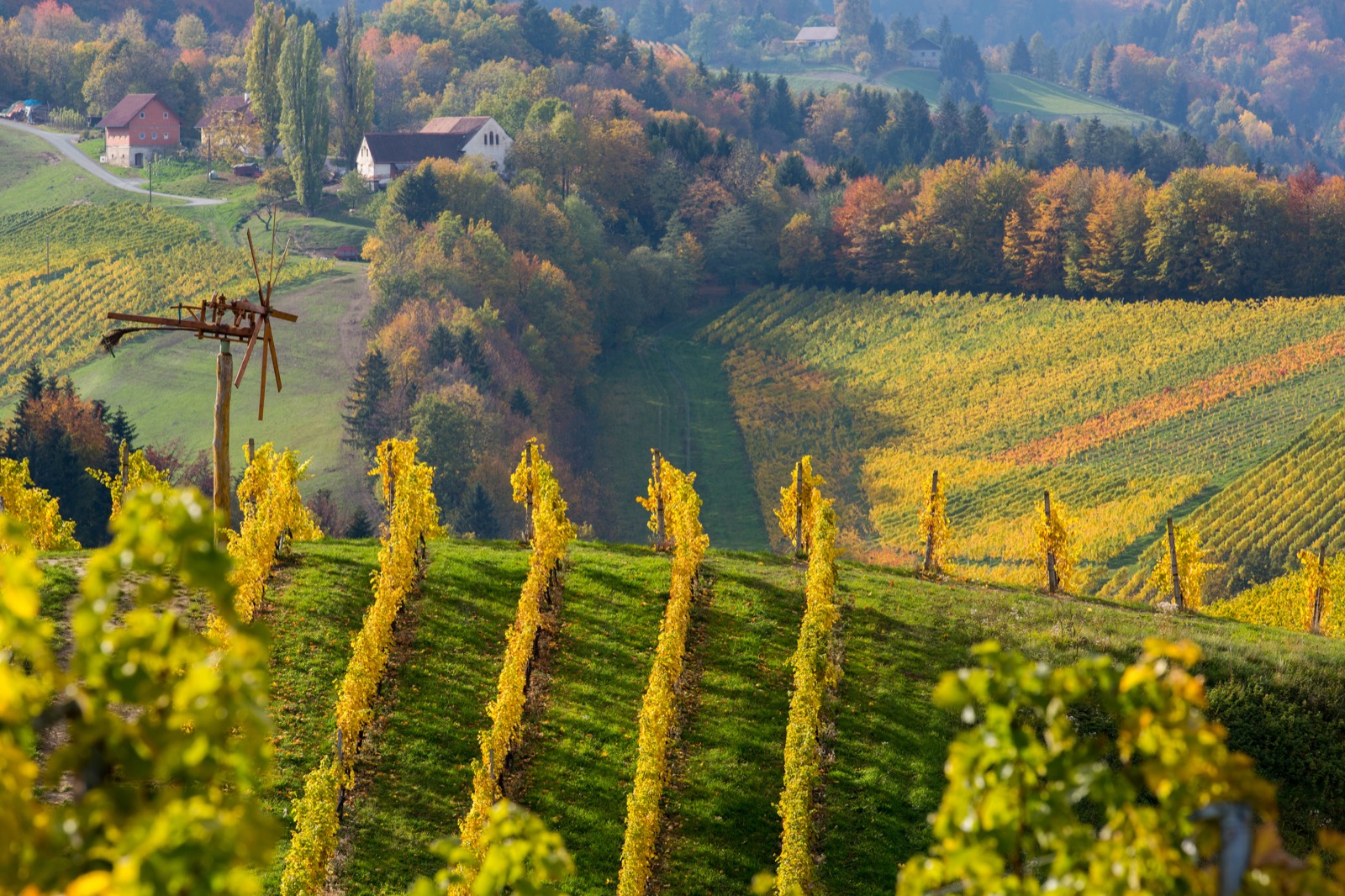 Weingut mit Klapotetz im Herbst